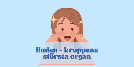 Din hud – ditt största organ, och kanske ditt mest underskattade