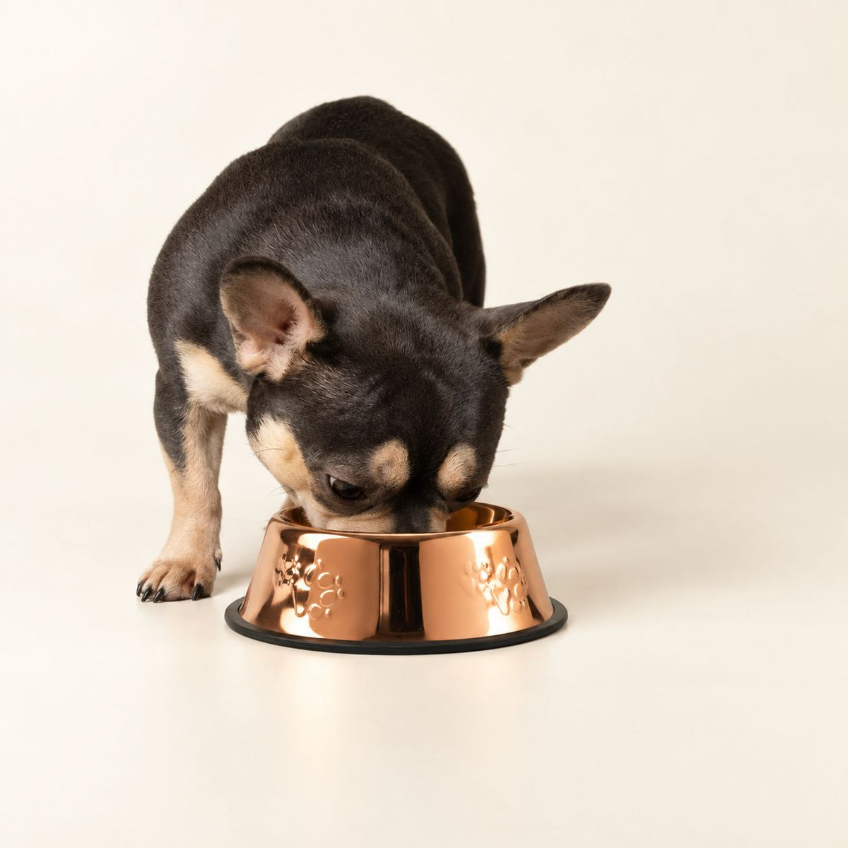 PAW Food Bowls - Matskål i kopparlook - 18cm - Stainless Steel (304)
