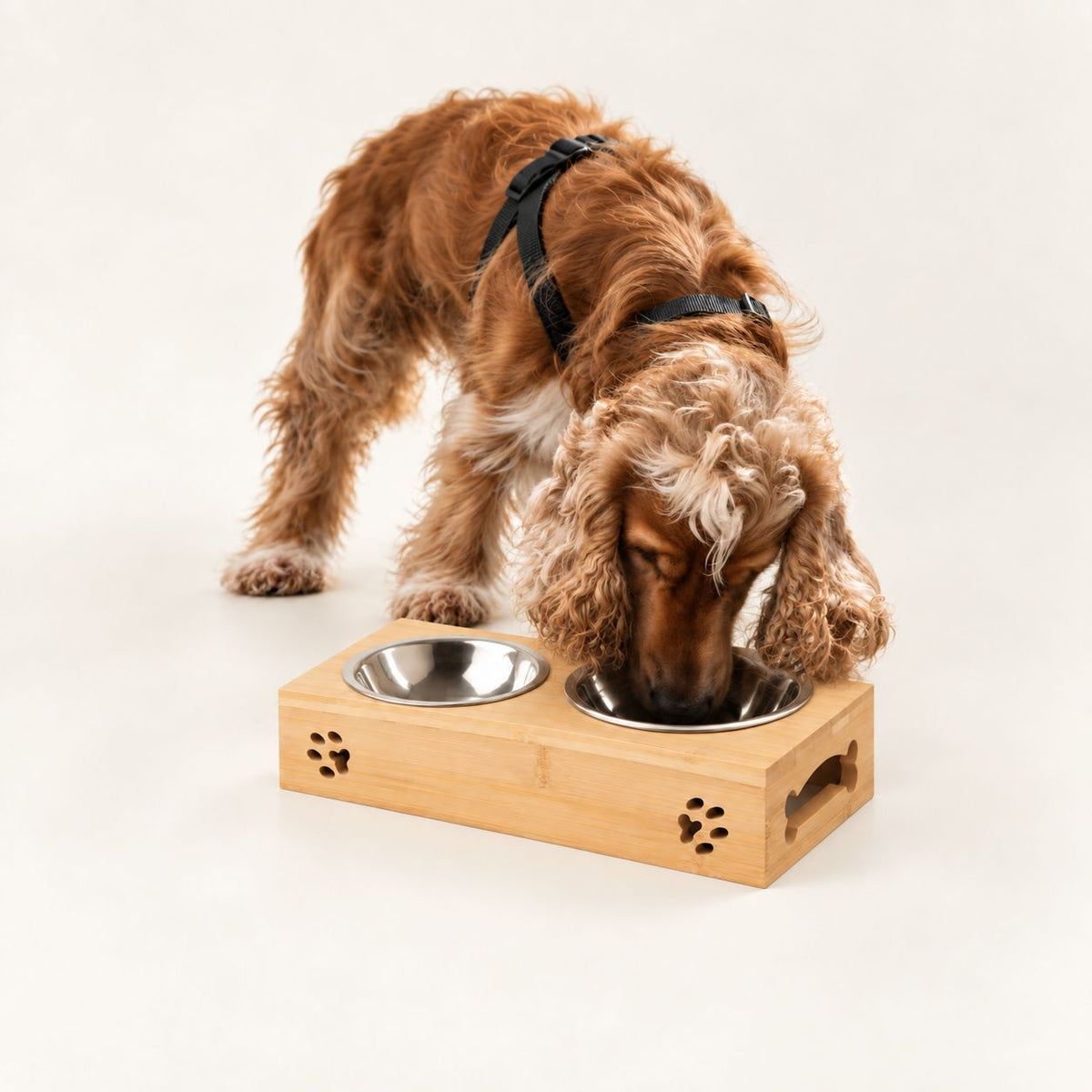 PAW Food Bowls - Dubbel matskål för husdjur – Rostfritt stål & trä, 2 × 12 cm
