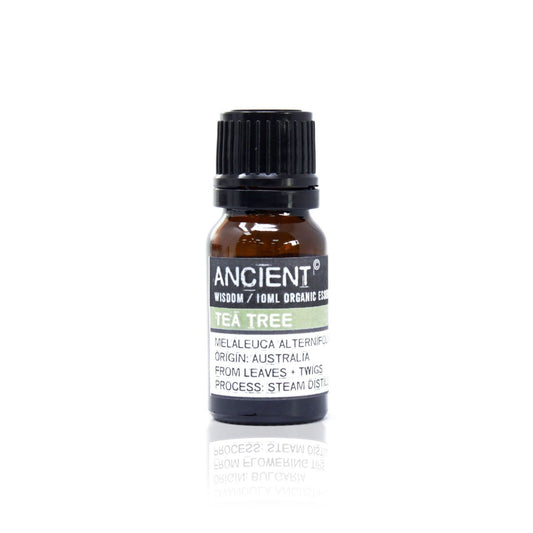 Tea tree (tetra träd) ekologisk eterisk olja 10 ml