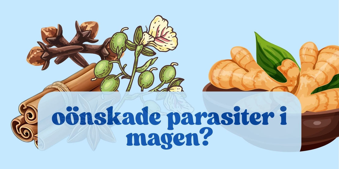 Yogi Spice Tea – Teet som väcker din inre glöd