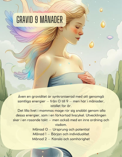 Theo och de magiska siffrorna - E-BOK