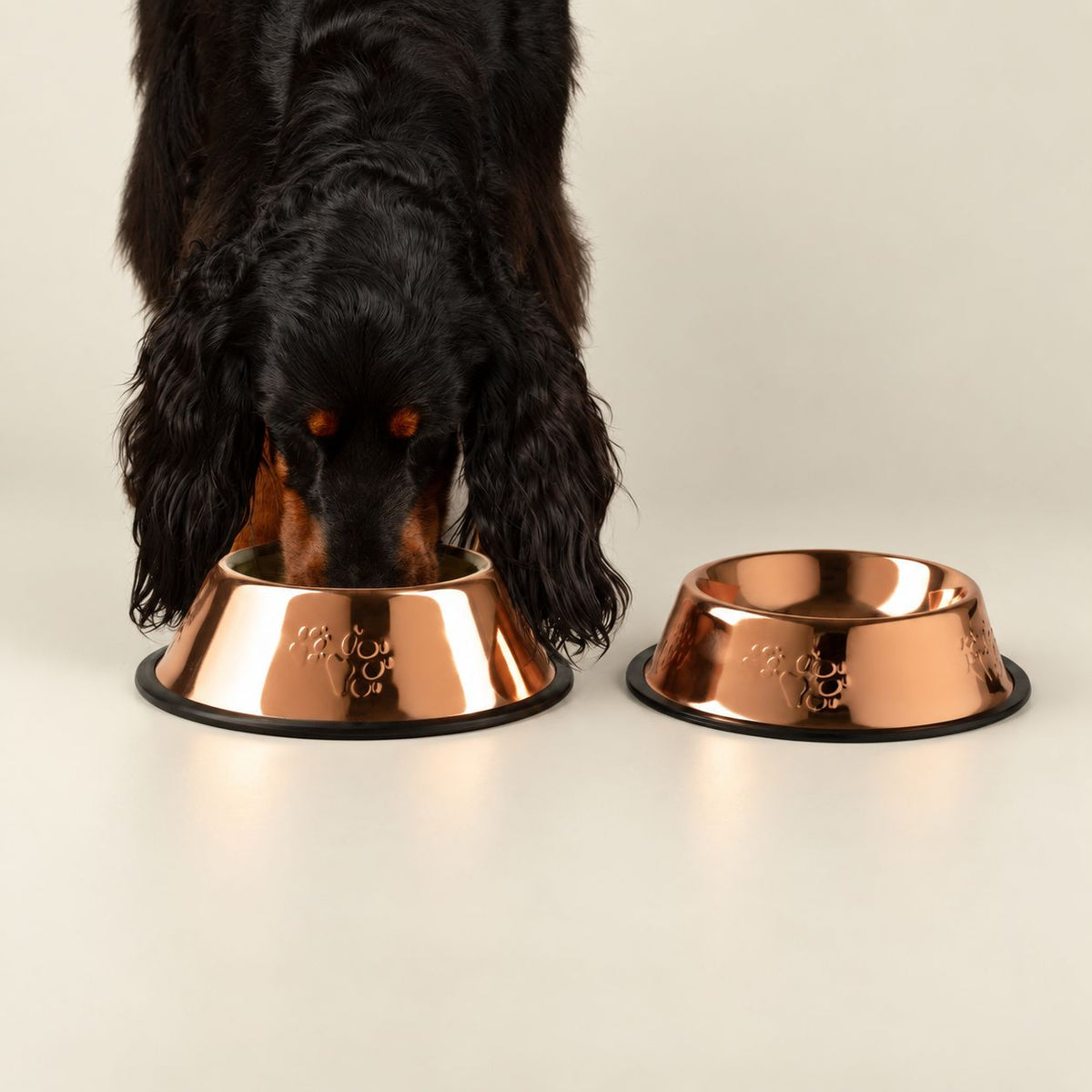PAW Food Bowls - Matskål i kopparlook - 18cm - Stainless Steel (304)