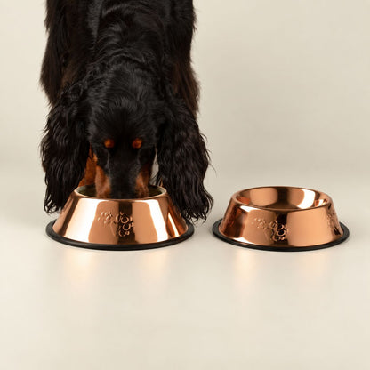 PAW Food Bowls -  Stilren matskål i kopparlook – 22 cm