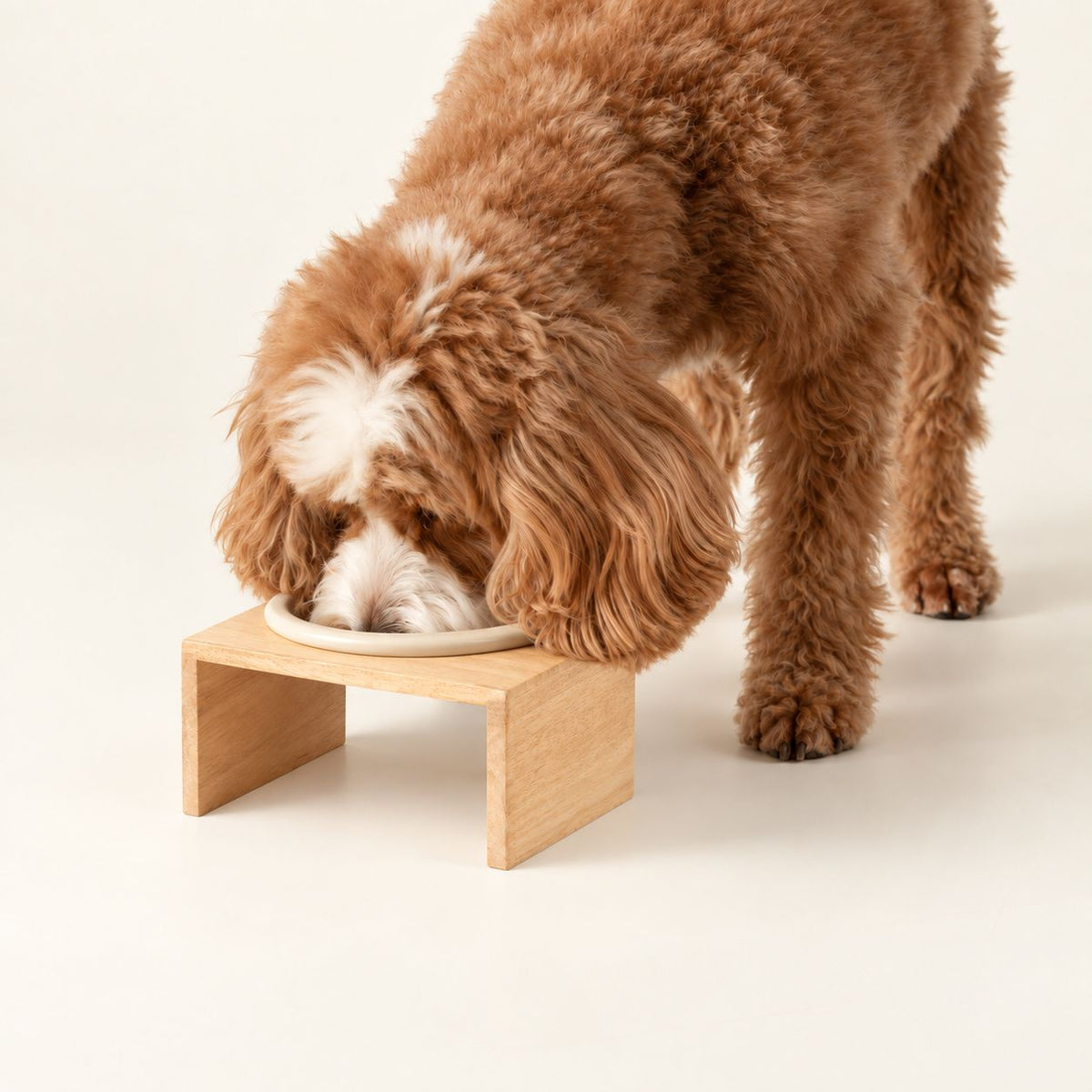 PAW Food Bowls - Stor Keramisk matskål med träställ – 14 cm
