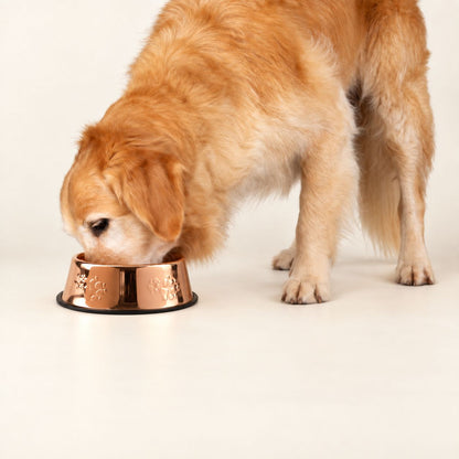 PAW Food Bowls -  Stilren matskål i kopparlook – 22 cm
